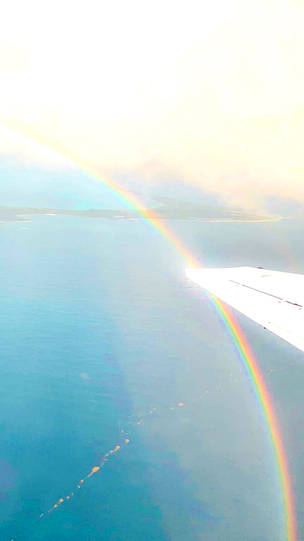 alisonbowles image ~ Altpins