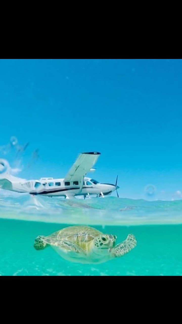 alisonbowles snapchat image archive image