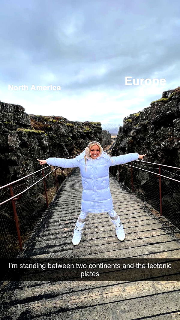 alisonbowles image ~ Altpins