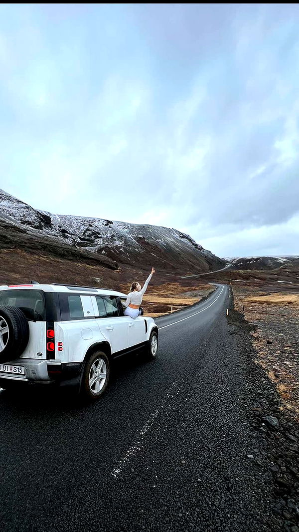 alisonbowles image ~ Altpins