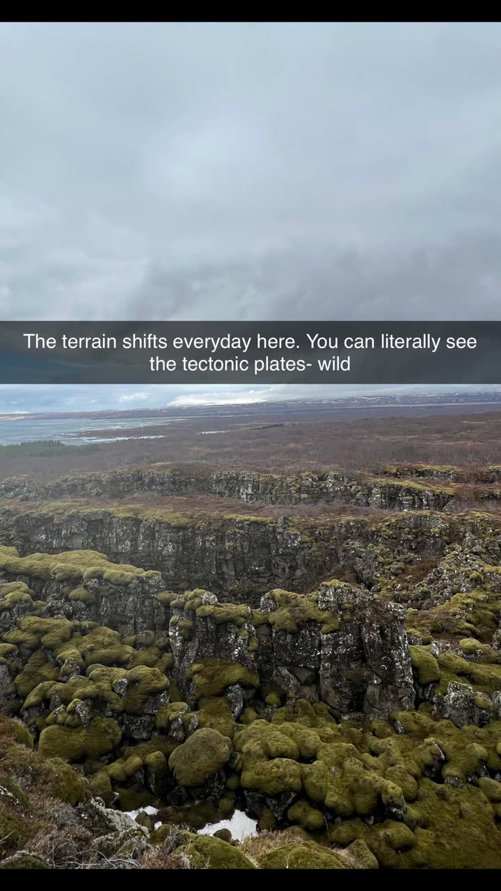 alisonbowles snapchat image archive image