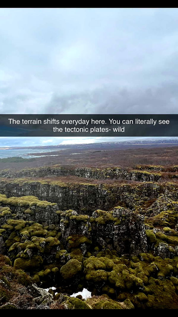 alisonbowles image ~ Altpins