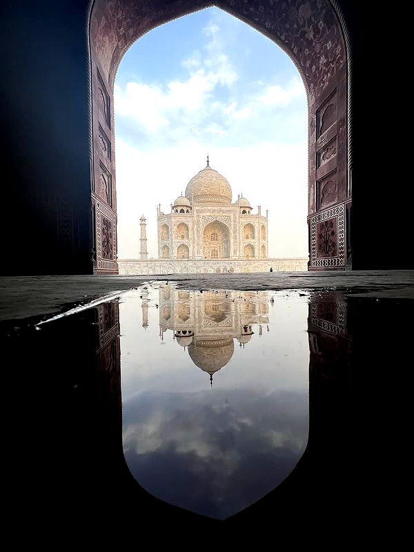 alisonbowles image ~ Altpins