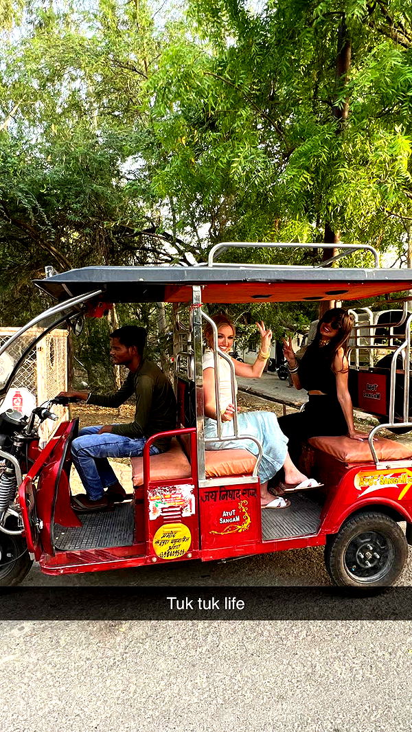 alisonbowles image ~ Altpins