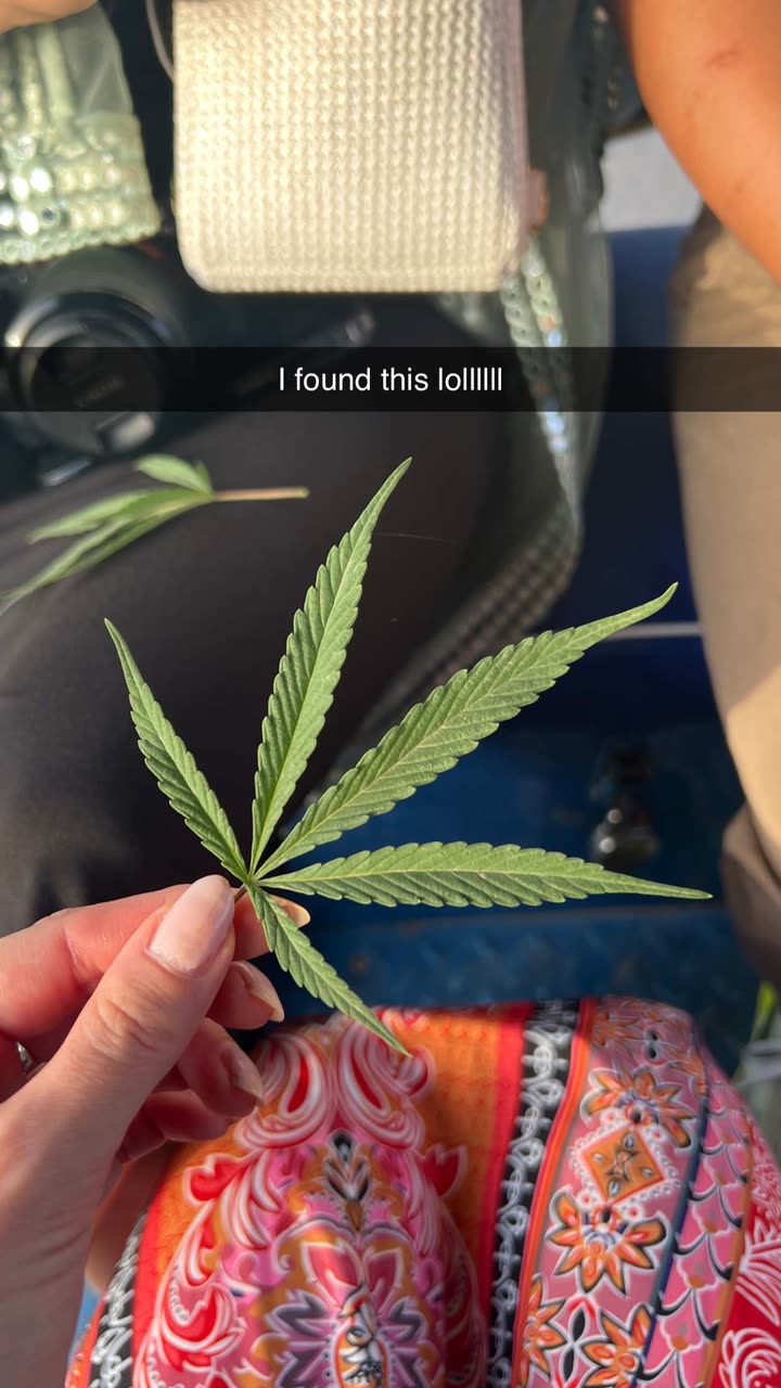 alisonbowles snapchat image archive image