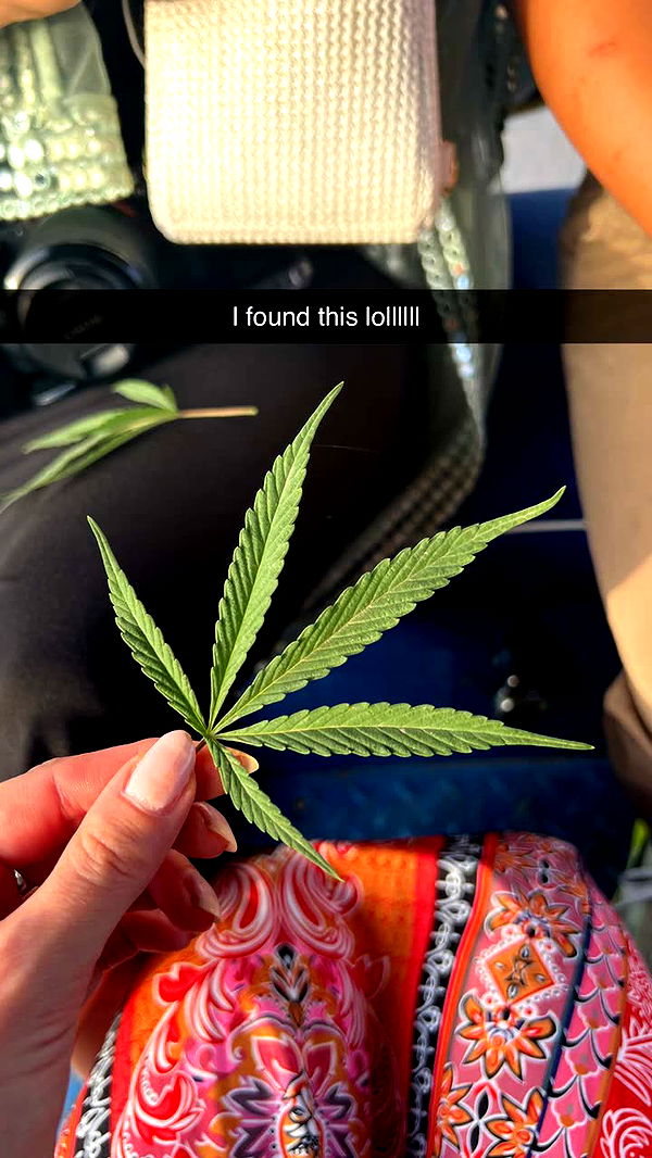 alisonbowles image ~ Altpins