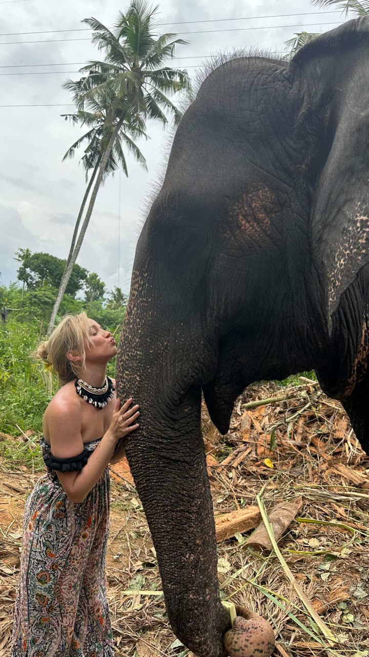 alisonbowles snapchat image archive image