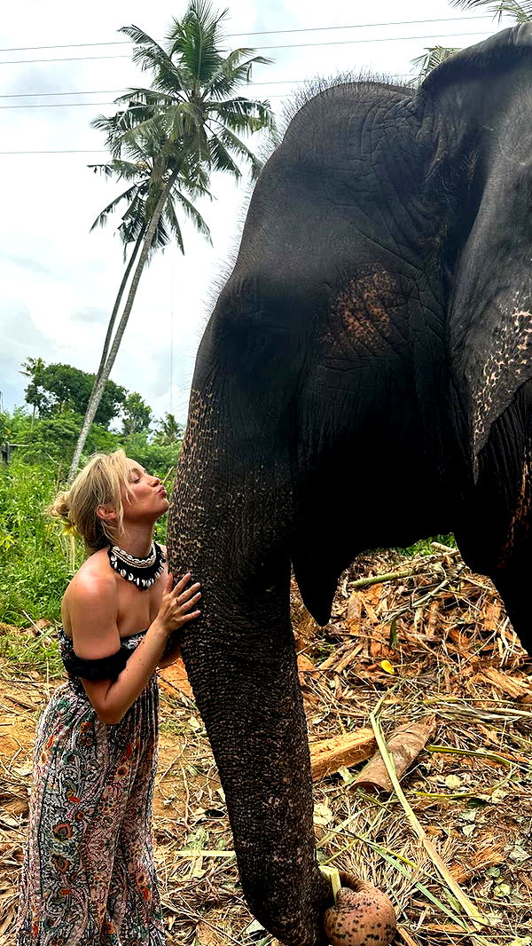 alisonbowles image ~ Altpins