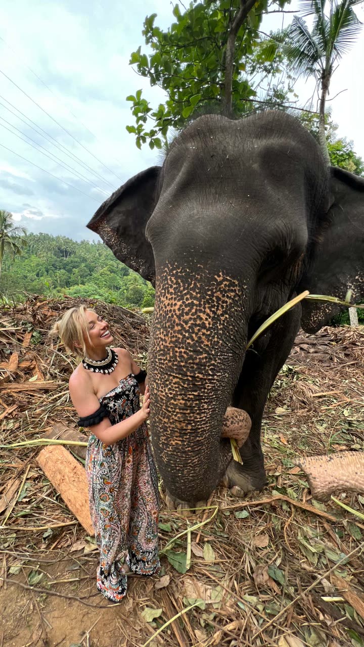 alisonbowles snapchat image archive image