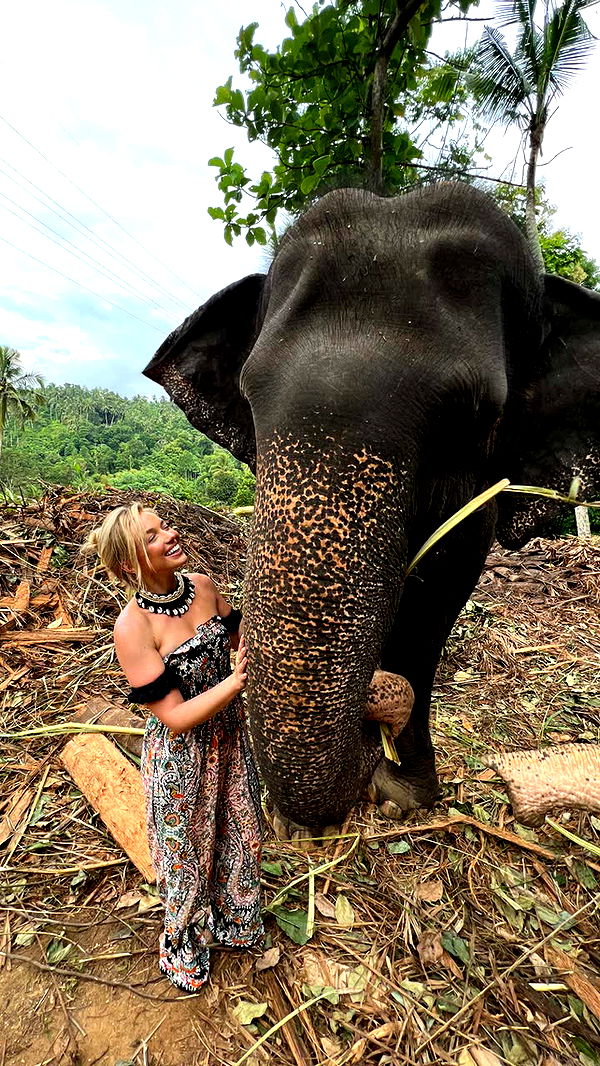 alisonbowles image ~ Altpins