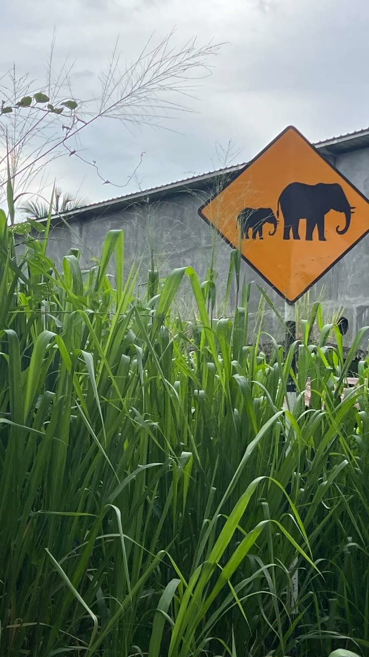 alisonbowles snapchat image archive image