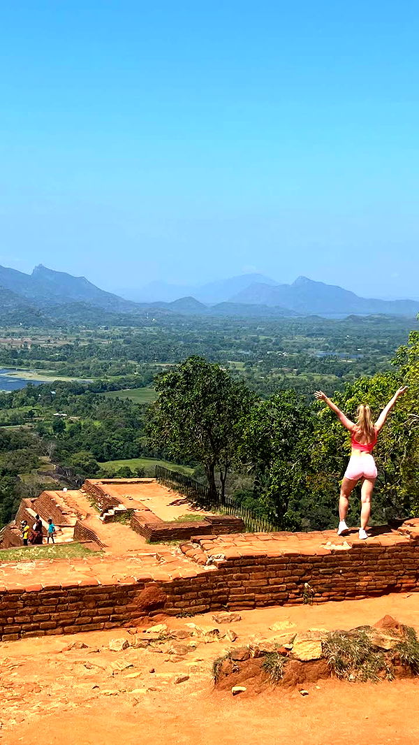 alisonbowles image ~ Altpins