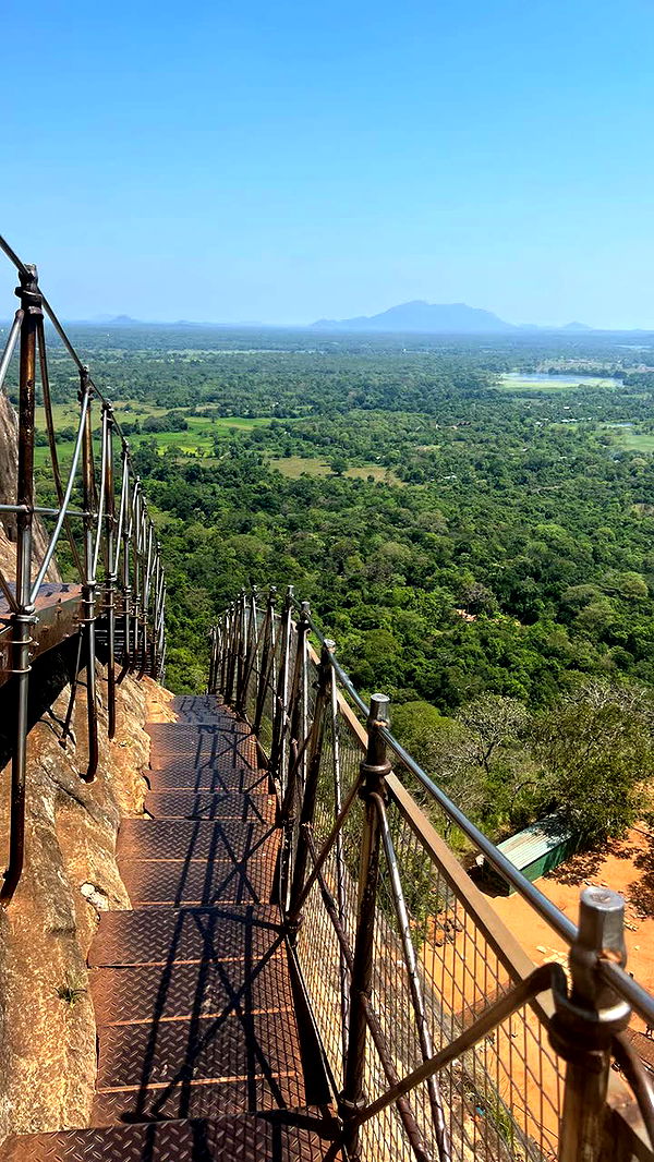 alisonbowles image ~ Altpins