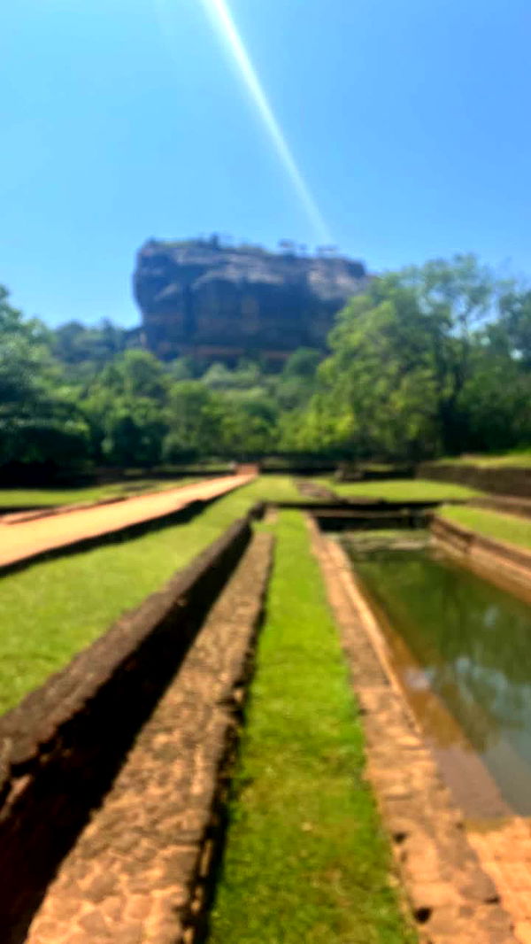 alisonbowles image ~ Altpins