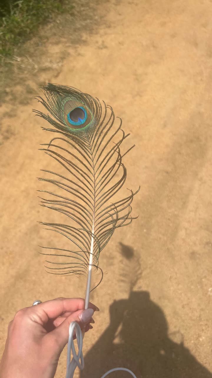 alisonbowles snapchat image archive image