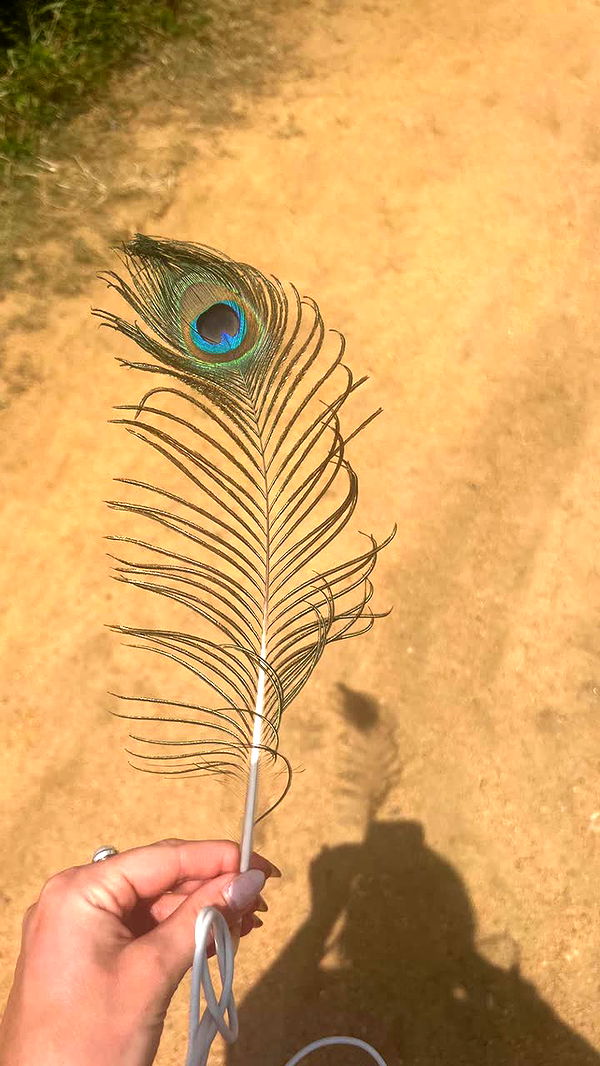 alisonbowles image ~ Altpins