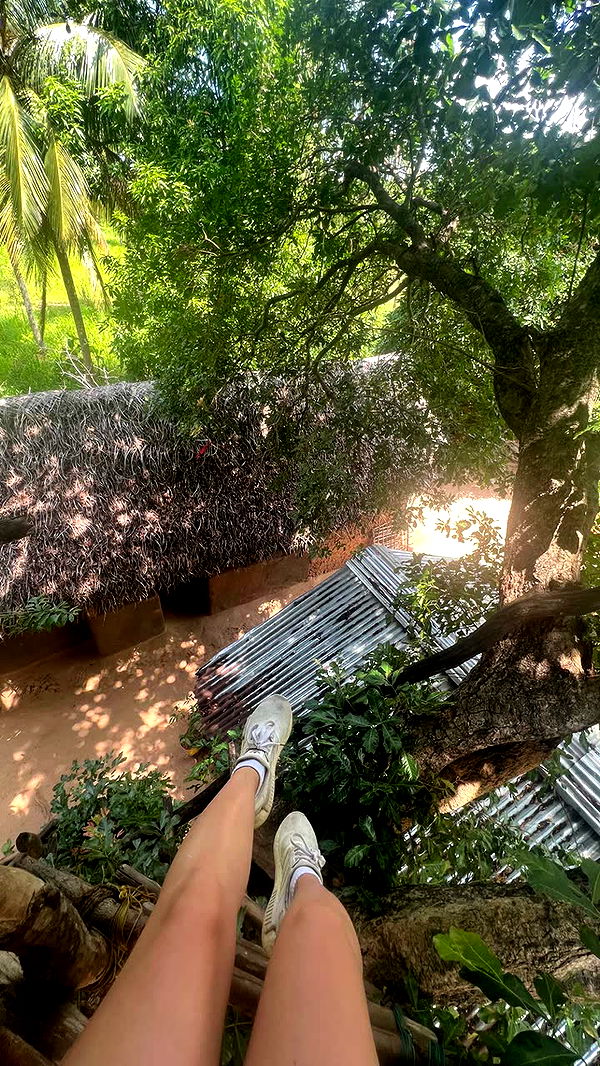 alisonbowles image ~ Altpins