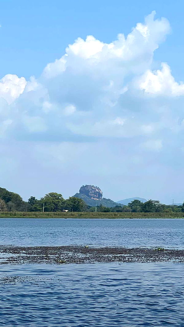 alisonbowles image ~ Altpins