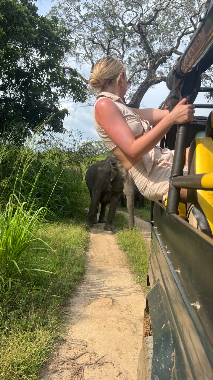 alisonbowles snapchat image archive image