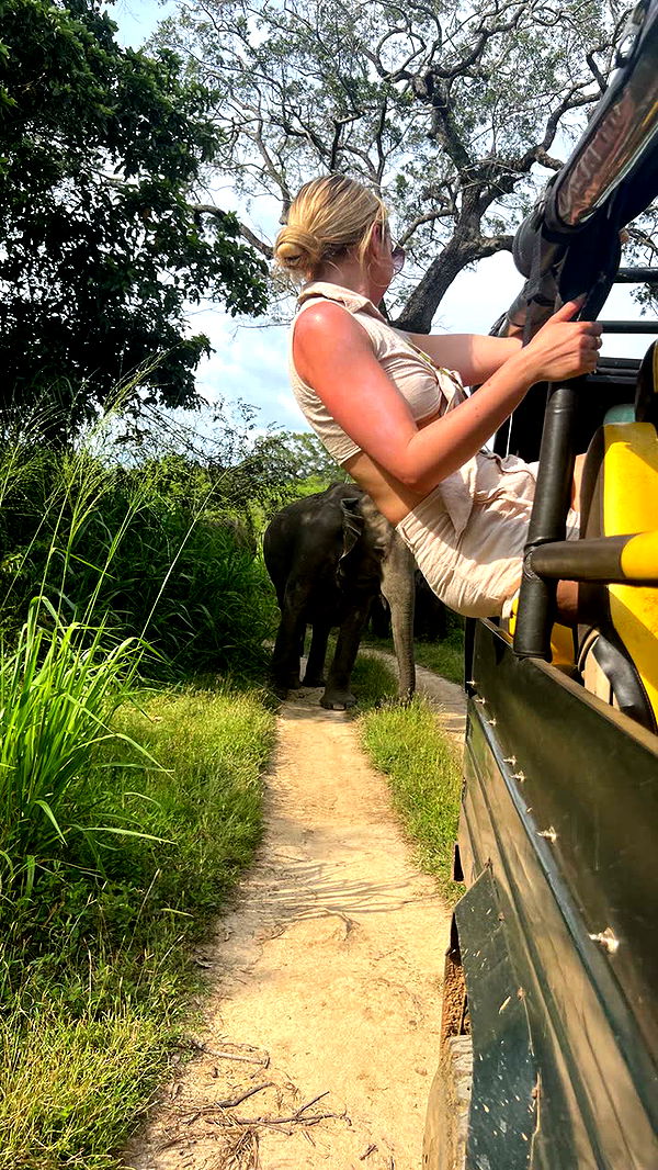 alisonbowles image ~ Altpins