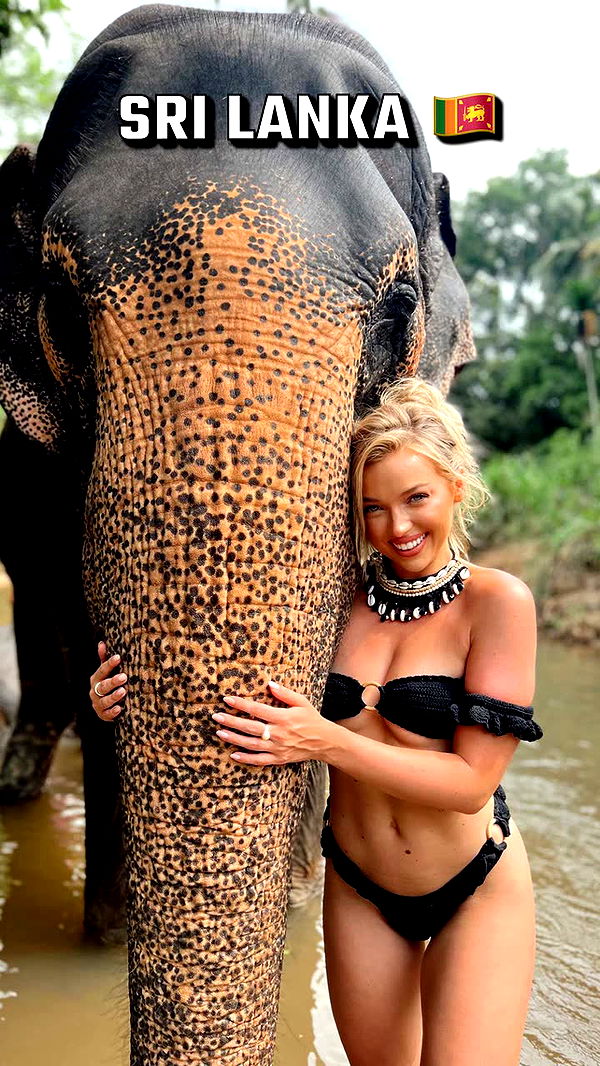 alisonbowles image ~ Altpins