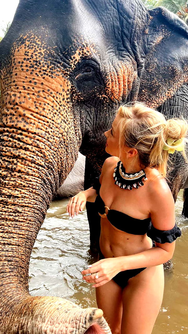 alisonbowles image ~ Altpins