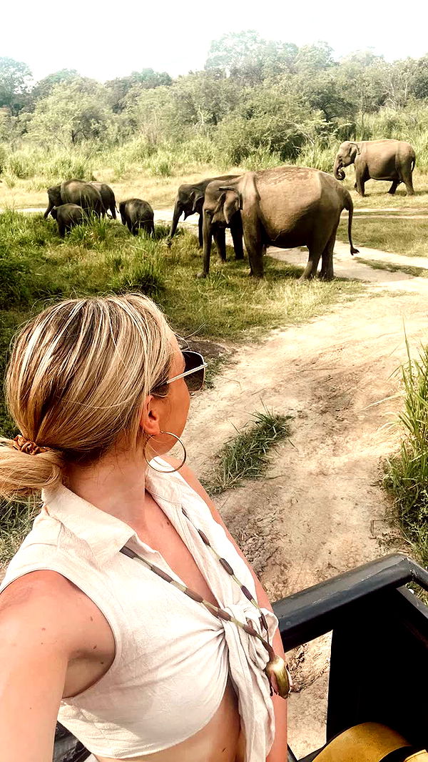 alisonbowles image ~ Altpins