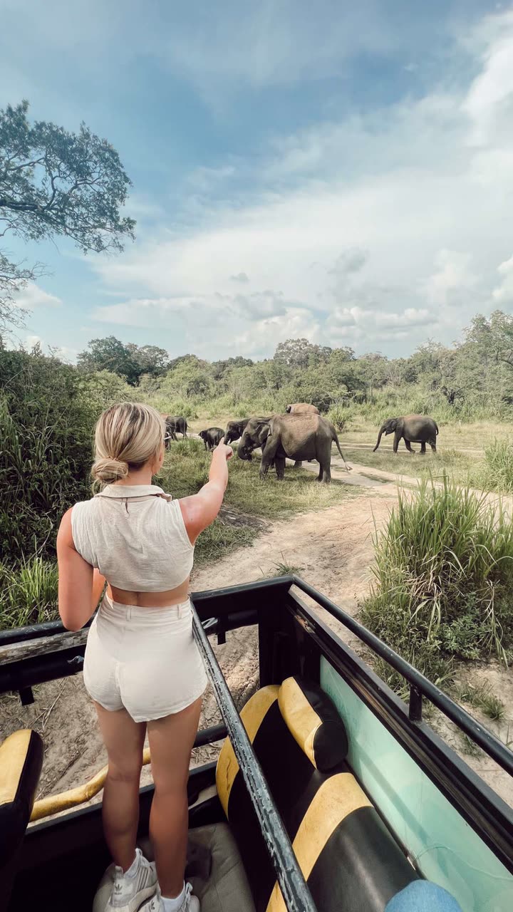 alisonbowles snapchat image archive image