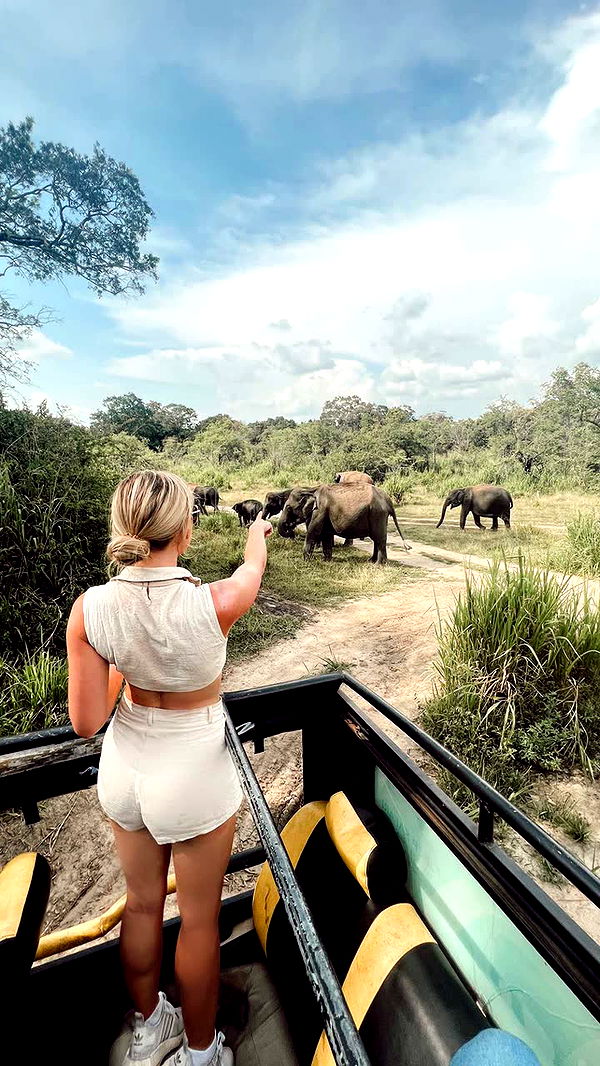 alisonbowles image ~ Altpins