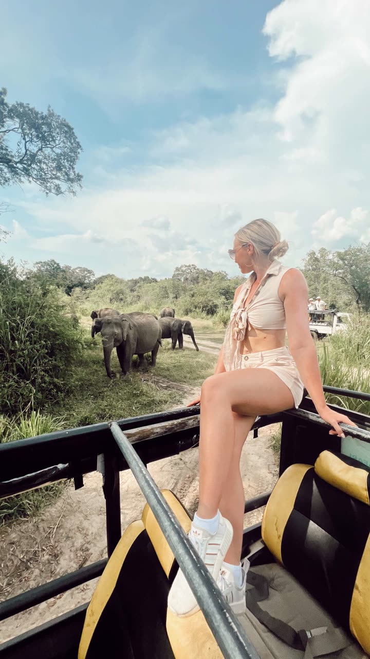 alisonbowles snapchat image archive image