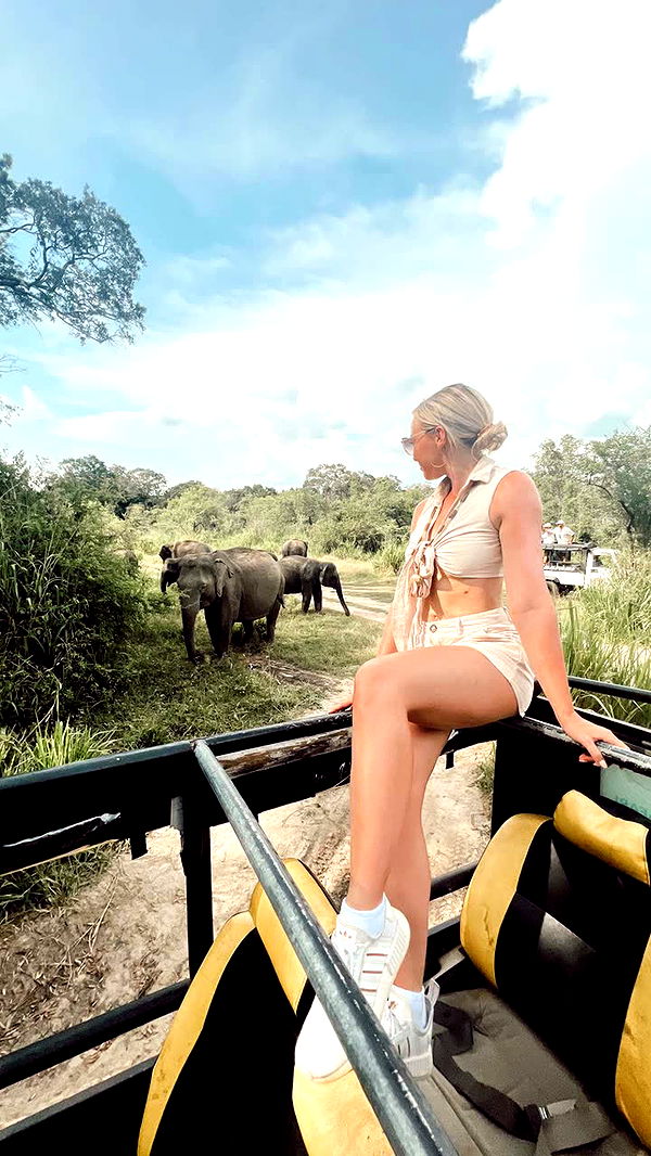 alisonbowles image ~ Altpins