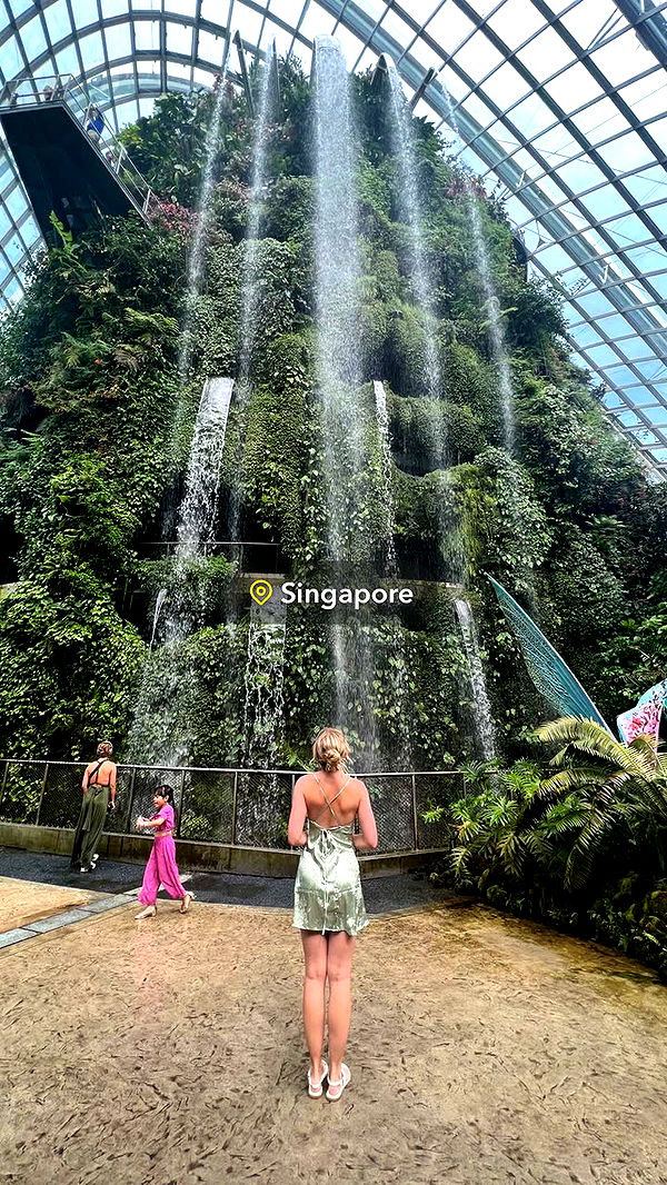 alisonbowles image ~ Altpins