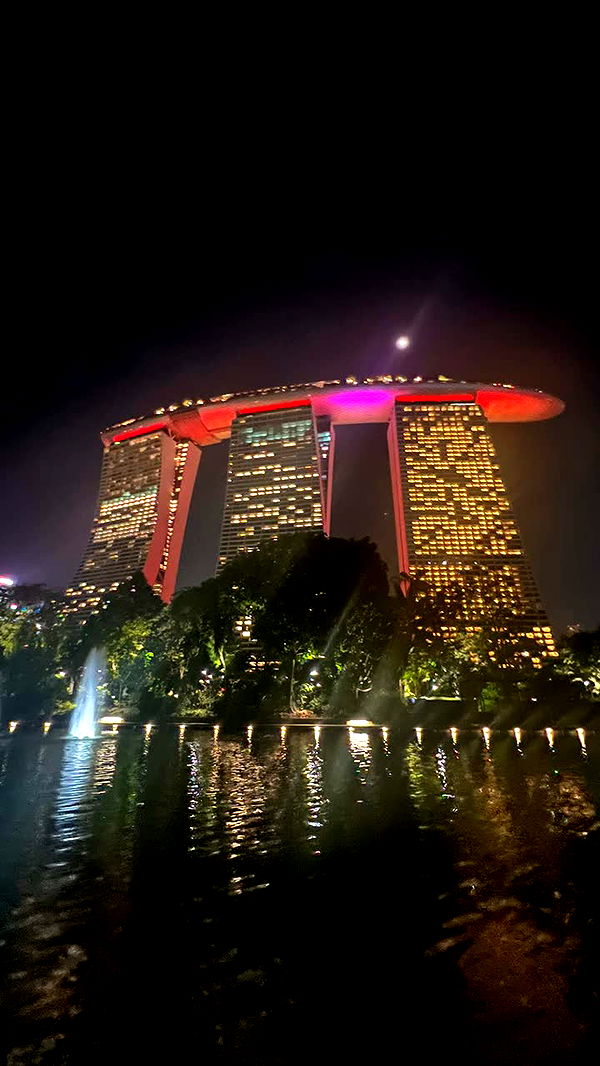 alisonbowles image ~ Altpins