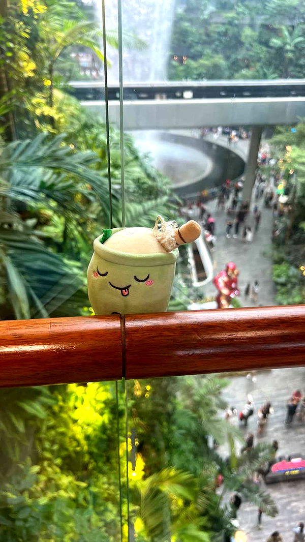 alisonbowles image ~ Altpins