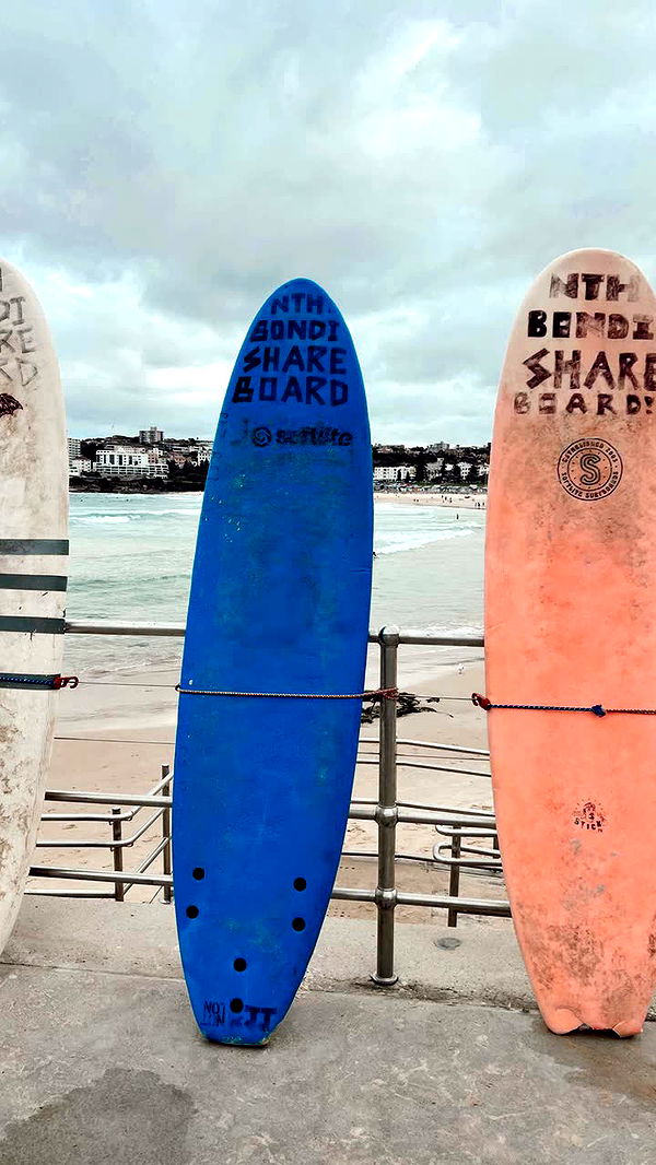 alisonbowles image ~ Altpins