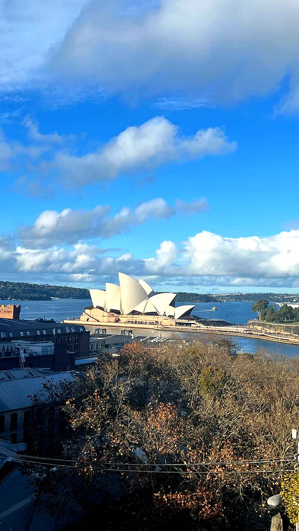 alisonbowles image ~ Altpins