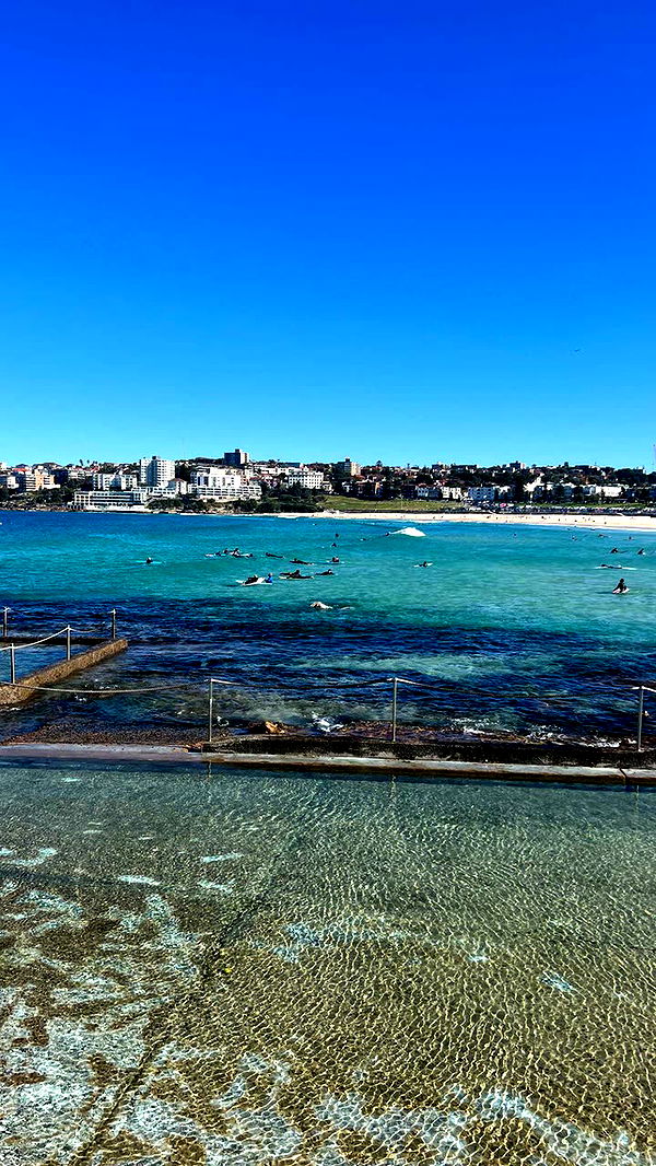 alisonbowles image ~ Altpins