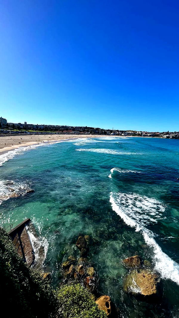 alisonbowles image ~ Altpins