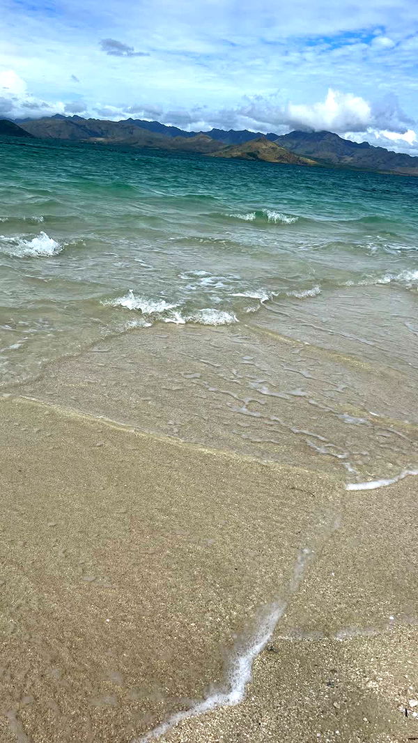 alisonbowles image ~ Altpins