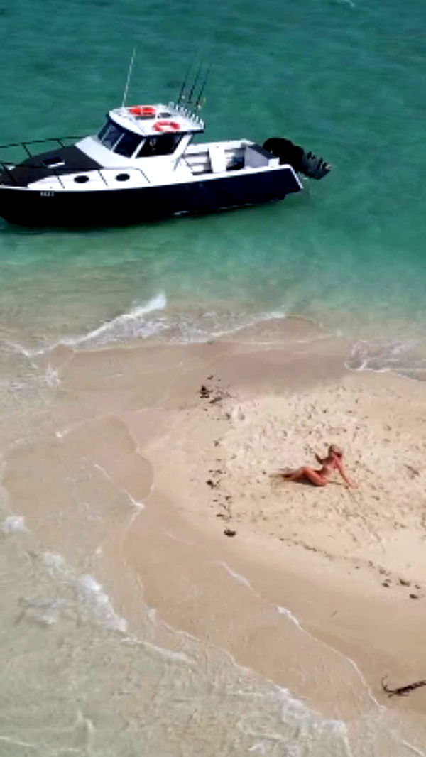 alisonbowles image ~ Altpins