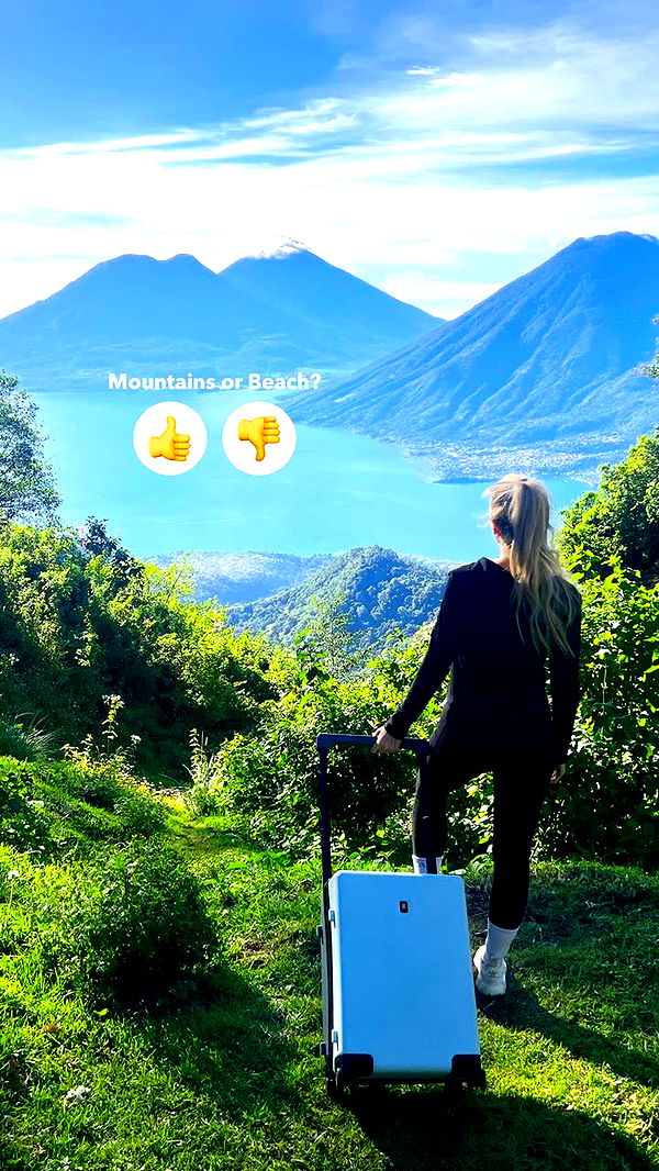 alisonbowles image ~ Altpins