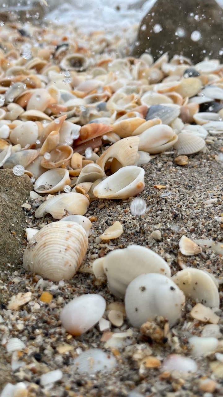 alisonbowles snapchat image archive image