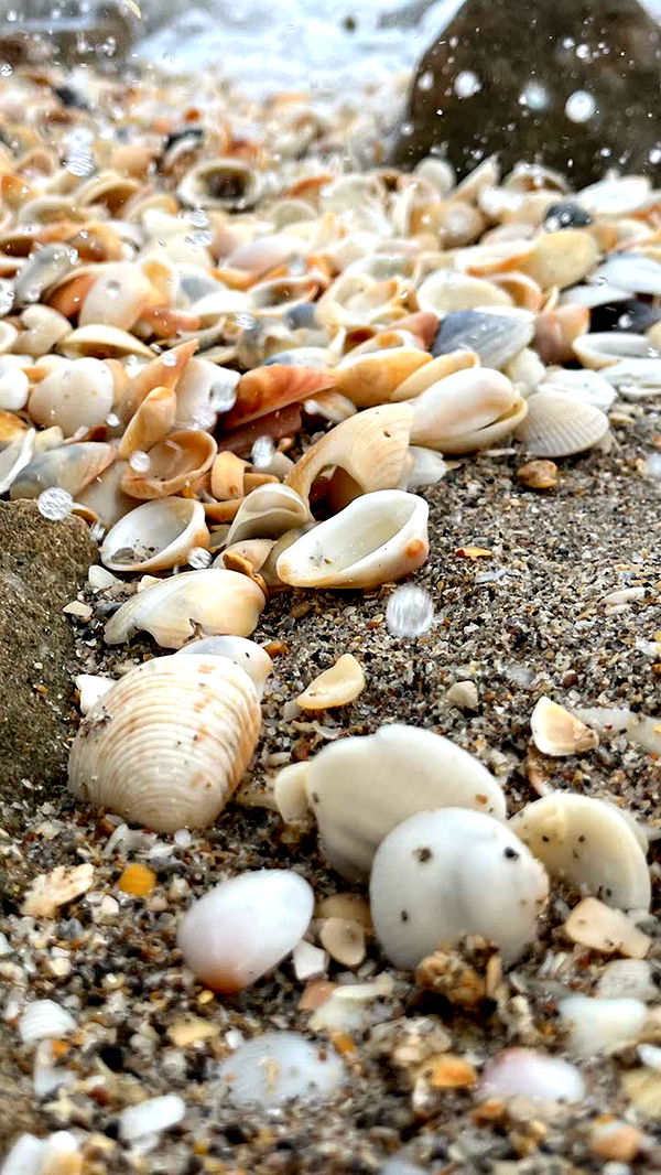 alisonbowles image ~ Altpins