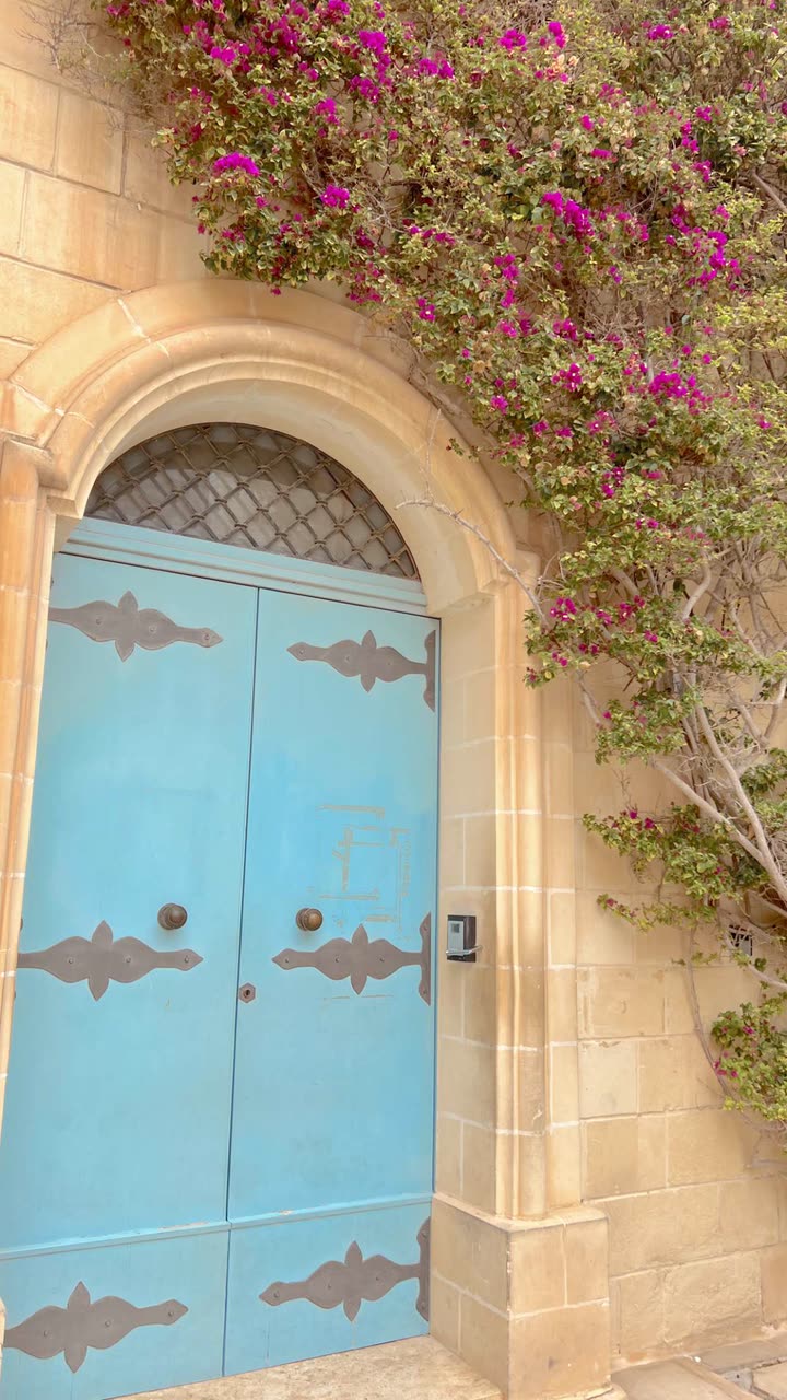 alisonbowles snapchat image archive image