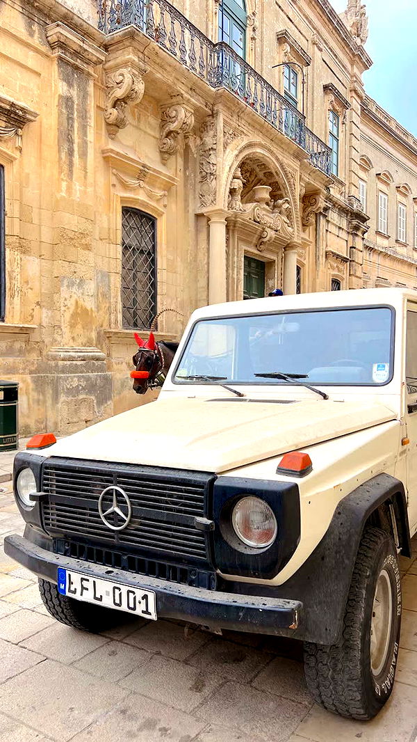 alisonbowles image ~ Altpins