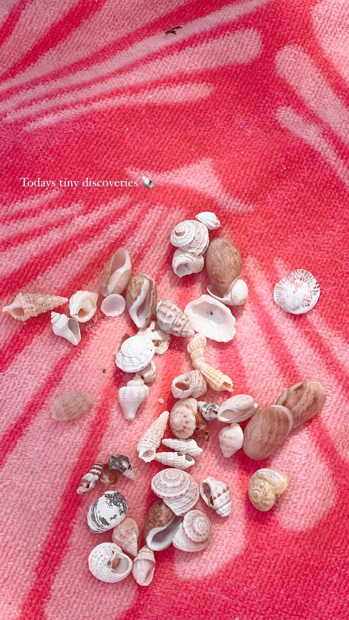 alisonbowles snapchat image archive image