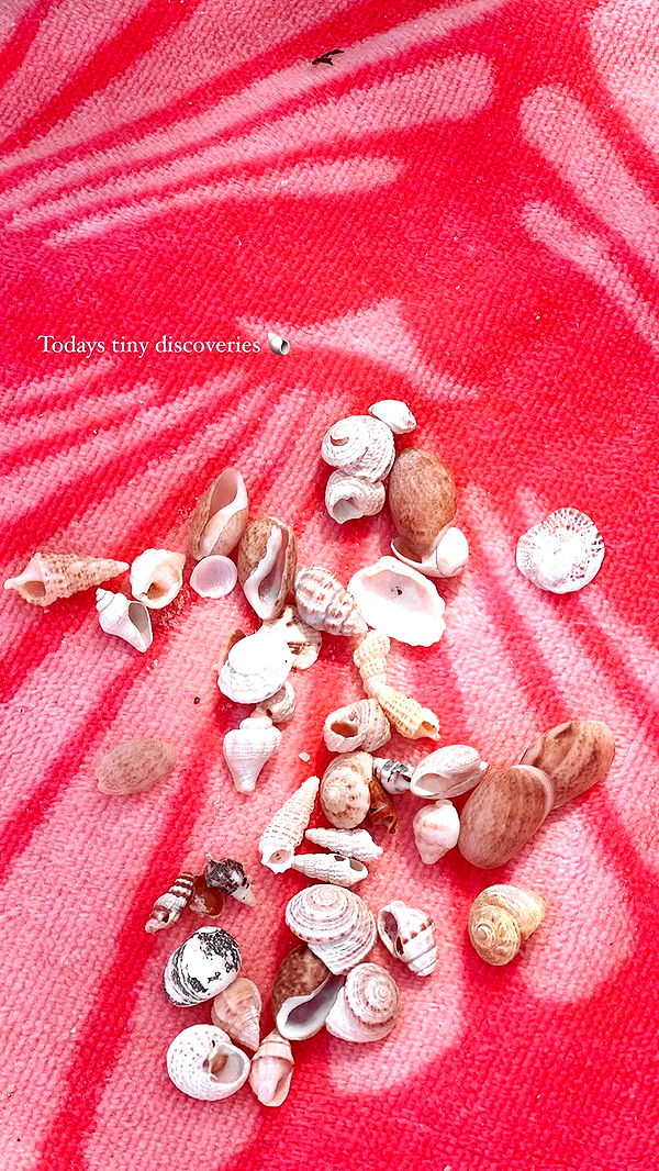 alisonbowles image ~ Altpins