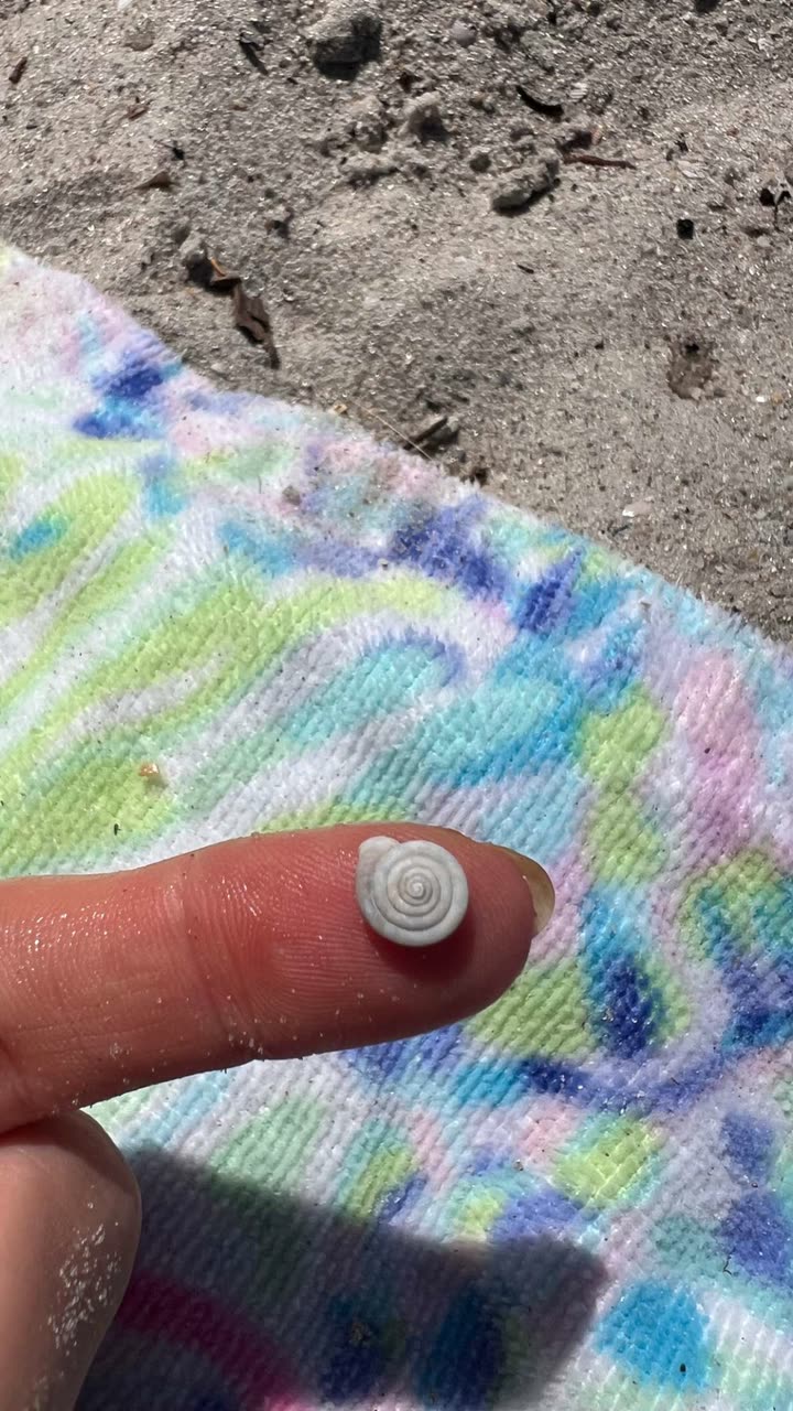 alisonbowles snapchat image archive image