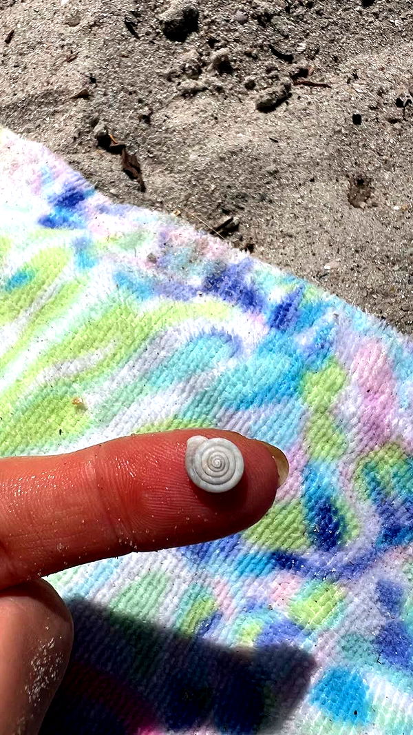 alisonbowles image ~ Altpins