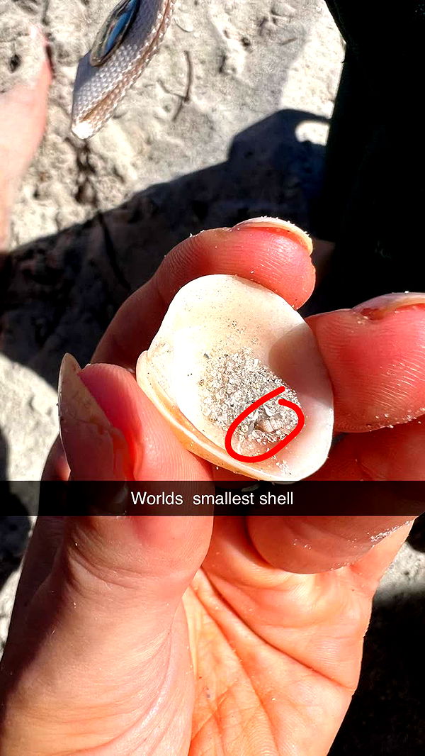 alisonbowles image ~ Altpins